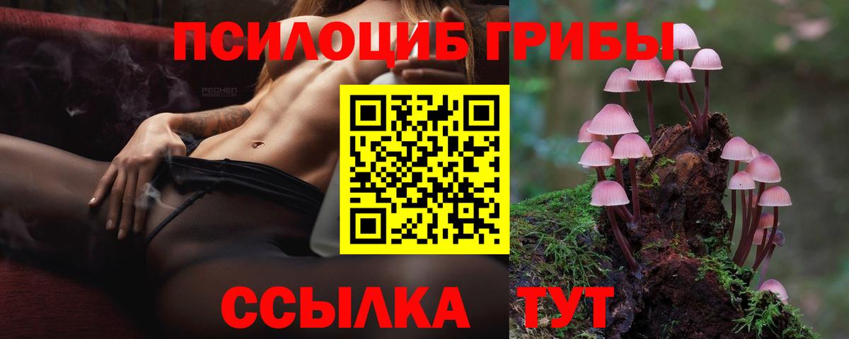 Галлюциногенные грибы ЛСД  Вход с VPN  Галлюциногенные грибы Magic Shrooms  Котлас 